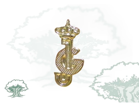 Pin Guardias Jóvenes perfilado