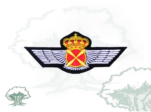 Roquisqui Piloto Aeronaves bordado