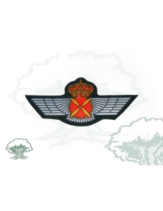 Roquisqui Piloto Aeronaves