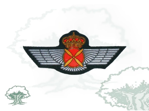 Roquisqui Piloto de Aeronaves en PVC