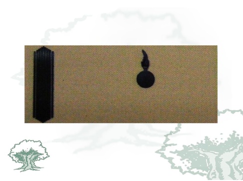 Galleta Artillería del Ejército