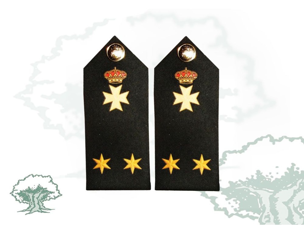 Hombreras Teniente Sanidad Ejército