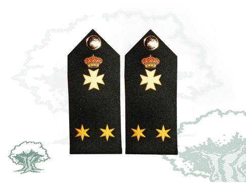 Hombreras Teniente Sanidad del Ejército