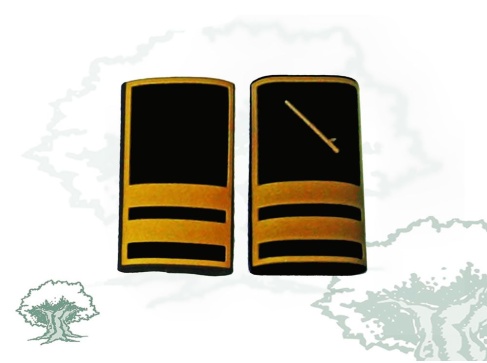 Hombreras Subinspector de la Policía Local