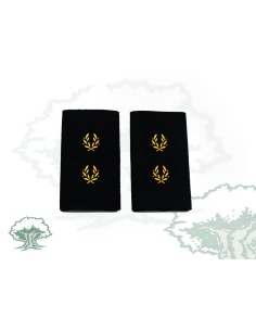 Hombreras Inspector Policía Nacional en PVC