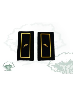 Hombreras Oficial Policía Nacional en PVC