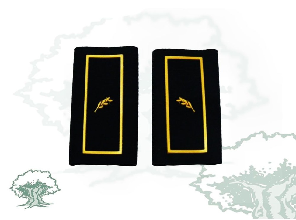 Hombreras Oficial Policía Nacional en PVC