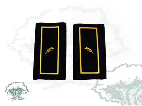 Hombreras Oficial Policía Nacional en PVC