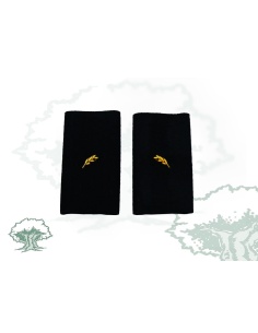 Hombreras Escala Básica Policía Nacional en PVC