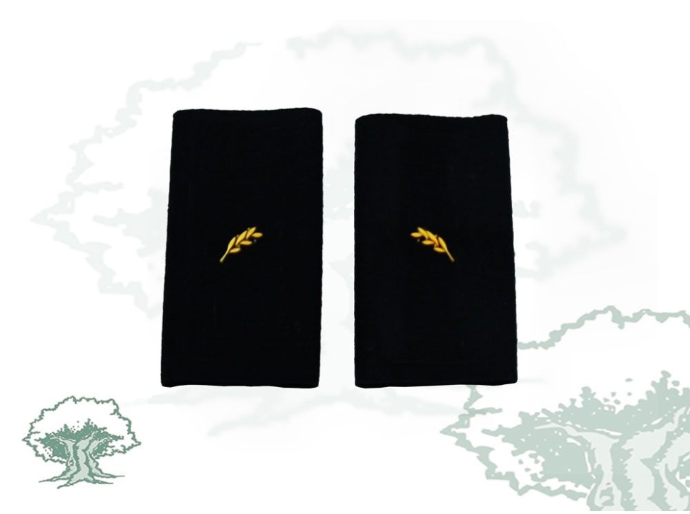 Hombreras Escala Básica Policía Nacional en PVC