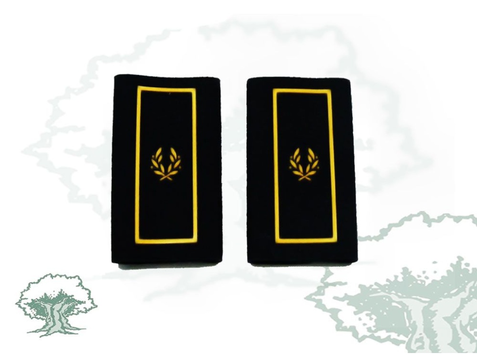 Hombreras Subinspector Policía Nacional en PVC