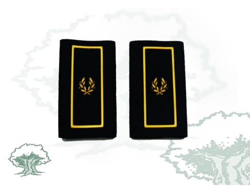 Hombreras Subinspector Policía Nacional en PVC