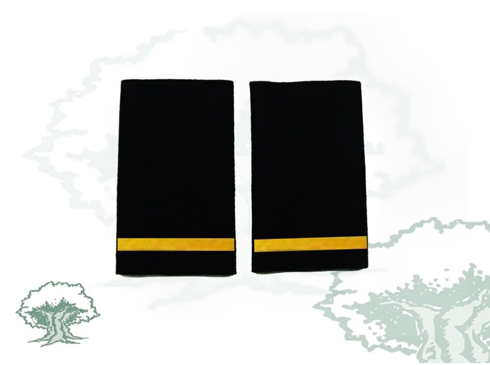 Hombreras Alumno Policía Nacional antiguas