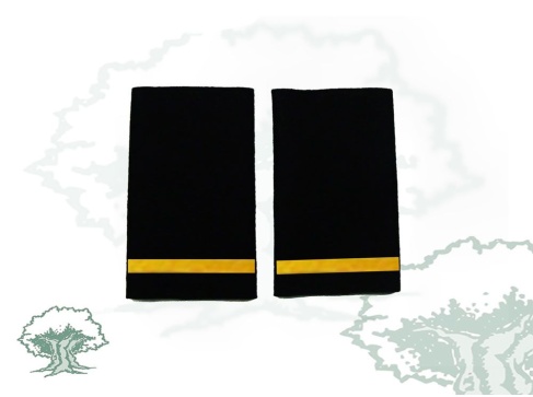 Hombreras Alumno de la Policía Nacional modelo antiguo