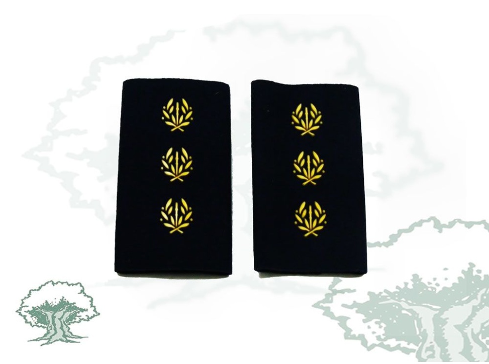 Hombreras Comisario Policía Nacional antiguas