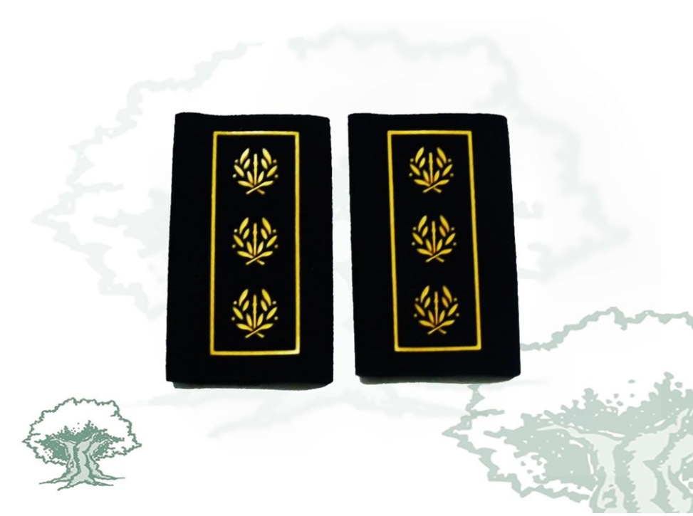 Hombreras Comisario Principal Policía Nacional antiguas