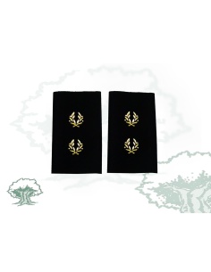 Hombreras Inspector Policía Nacional antiguas