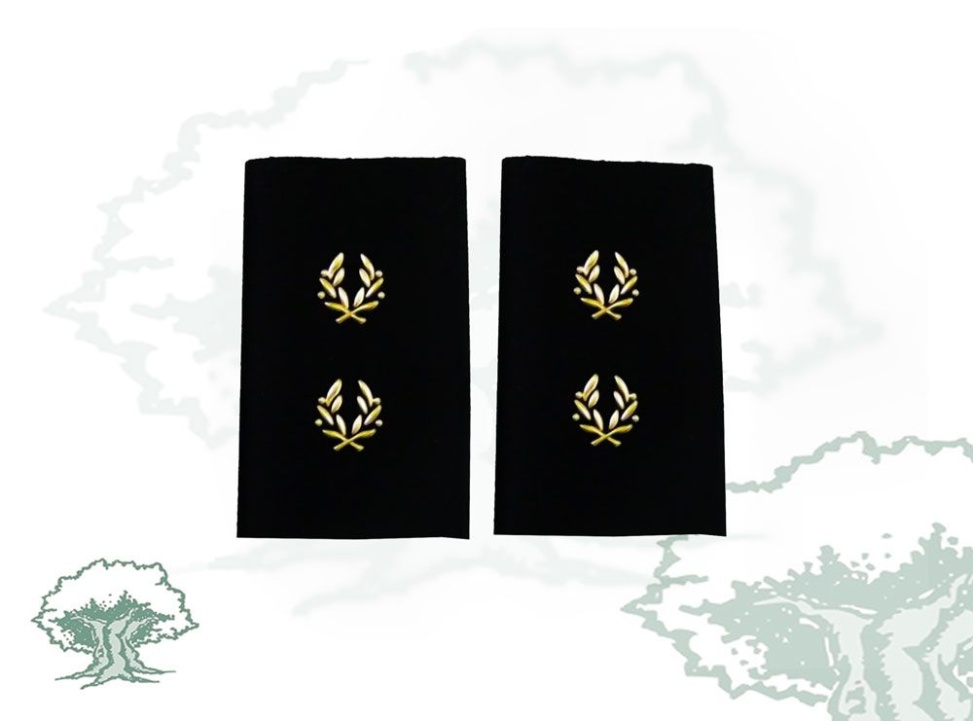 Hombreras Inspector Policía Nacional antiguas