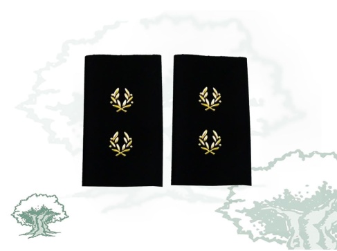 Hombreras Inspector de la Policía Nacional modelo antiguo