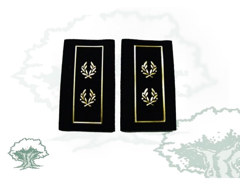 Hombreras Inspector Jefe Policía Nacional antiguas