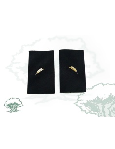 Hombreras Escala Básica Policía Nacional antiguas