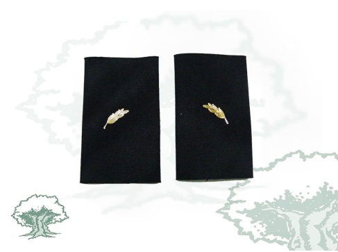 Hombreras Escala Básica de la Policía Nacional modelo antiguo