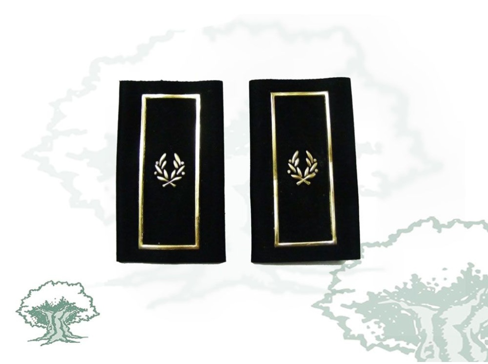 Hombreras Subinspector Policía Nacional antiguas