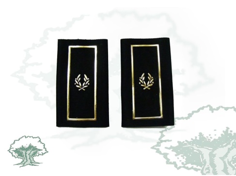 Hombreras Subinspector de la Policía Nacional modelo antiguo