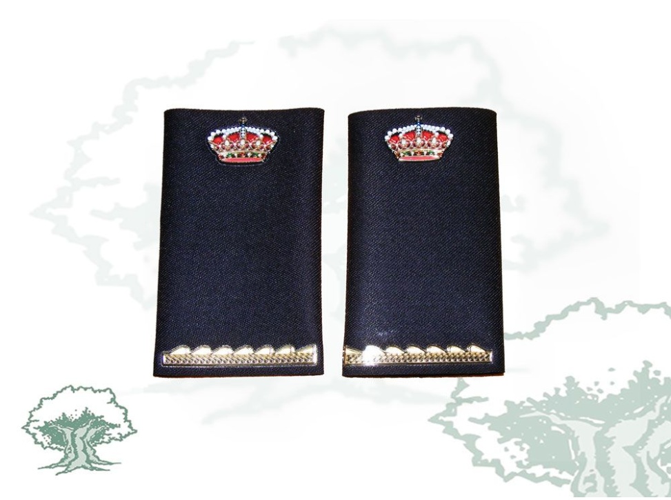 Hombreras 1º año Ejecutiva Policía Nacional