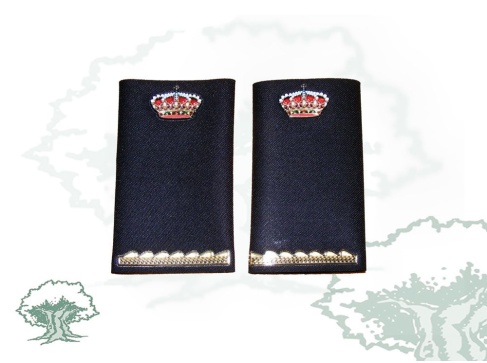 Hombreras 1º año Ejecutiva Policía Nacional