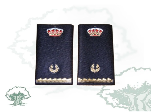 Hombreras 2º año Ejecutiva de la Policía Nacional