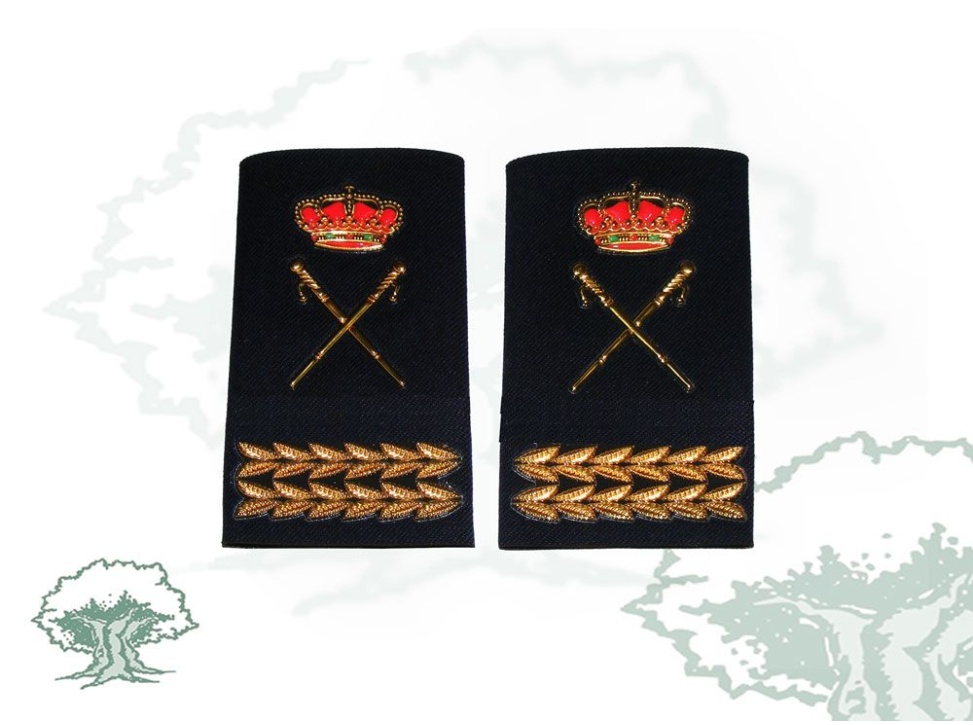 Hombreras Comisario General Policía Nacional