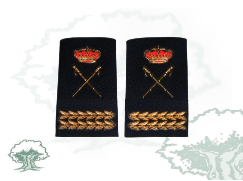 Hombreras Comisario General de la Policía Nacional
