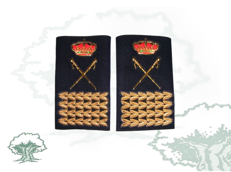 Hombreras Director Adjunto Policía Nacional