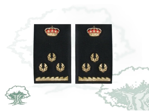 Hombreras Inspector de la Policía Nacional