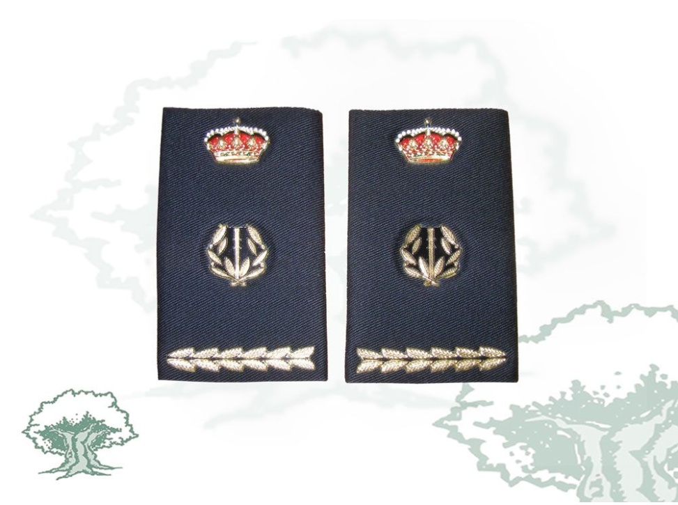 Hombreras Inspector Jefe Policía Nacional