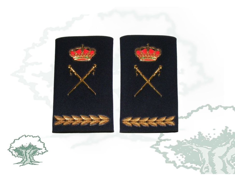 Hombreras Jefe Superior Policía Nacional