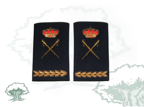Hombreras Jefe Superior Policía Nacional