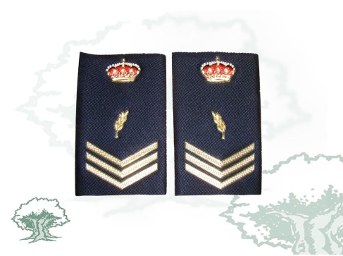 Hombreras Oficial de la Policía Nacional