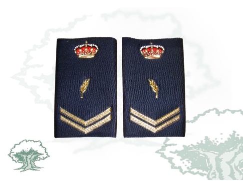 Hombreras Escala Básica de la Policía Nacional