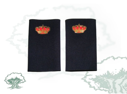 Hombreras Alumno Policía Nacional