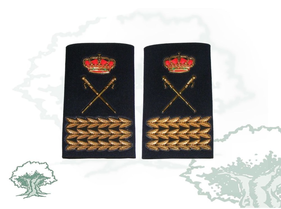 Hombreras Subdirector General Policía Nacional