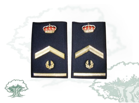 Hombreras Subinspector Policía Nacional
