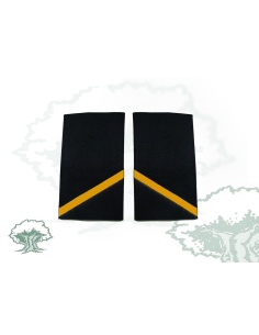 Hombreras 1º año Ejecutiva Policía Nacional antiguas