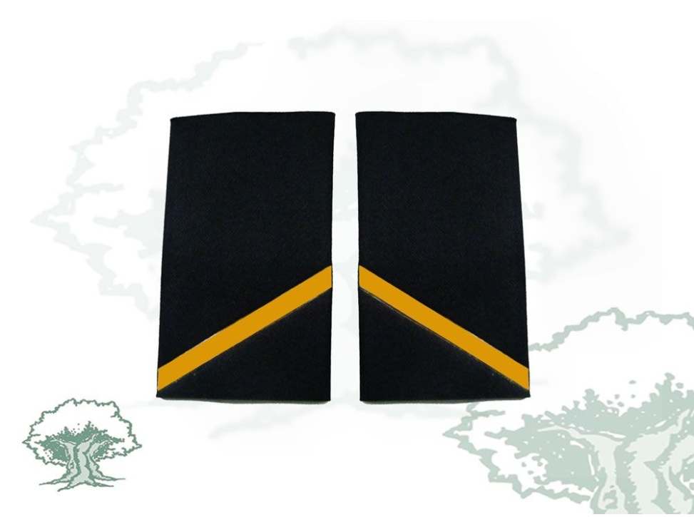 Hombreras 1º año Ejecutiva Policía Nacional antiguas