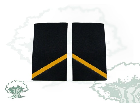 Hombreras 1º año Ejecutiva Policía Nacional antiguas