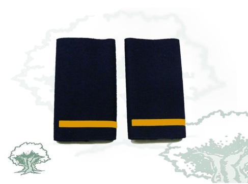 Hombreras Alumno Escala Básica Policía Nacional