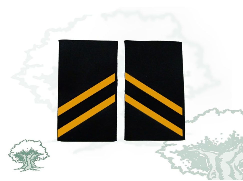 Hombreras 2º año Ejecutiva Policía Nacional antiguas