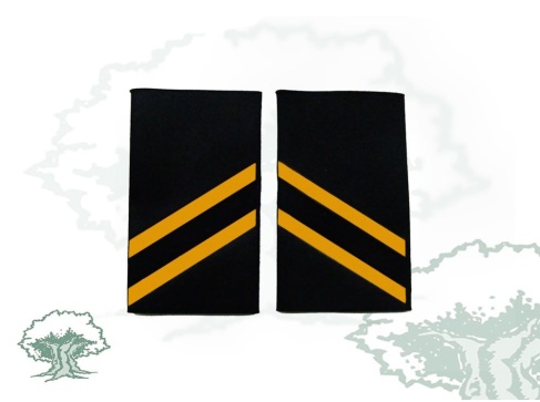 Hombreras 2º año Ejecutiva de la Policía Nacional modelo antiguo