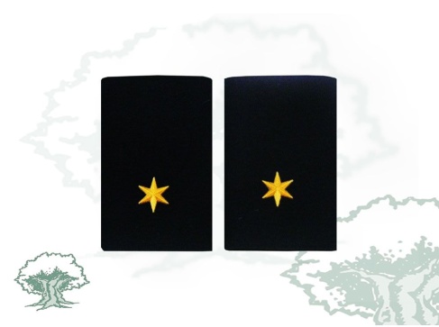 Hombreras Alferez GRS de la Guardia Civil modelo antiguo